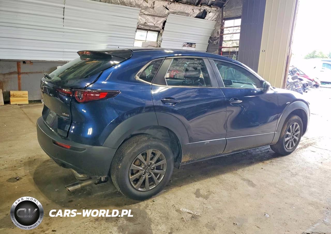 2021 Mazda Cx-30 VIN:3MVDMBAL7MM302333 - 3