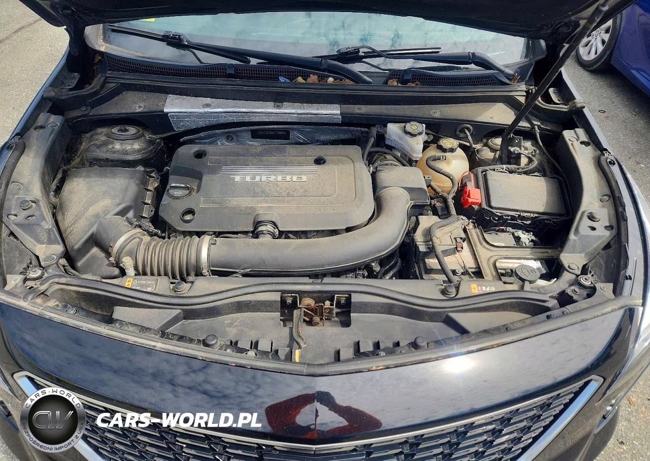 2019 Cadillac Xt4 Premium Luxury VIN:1GYFZDR46KF118044 - 12