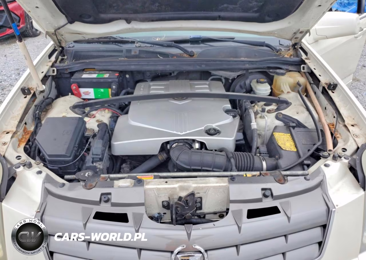 2007 Cadillac Srx VIN:1GYEE637970165956 - 12