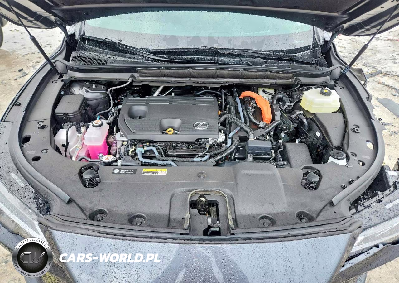 2026 Lexus Rx 350H Premium+ VIN:2T2BBMCA4TC138841 - 12