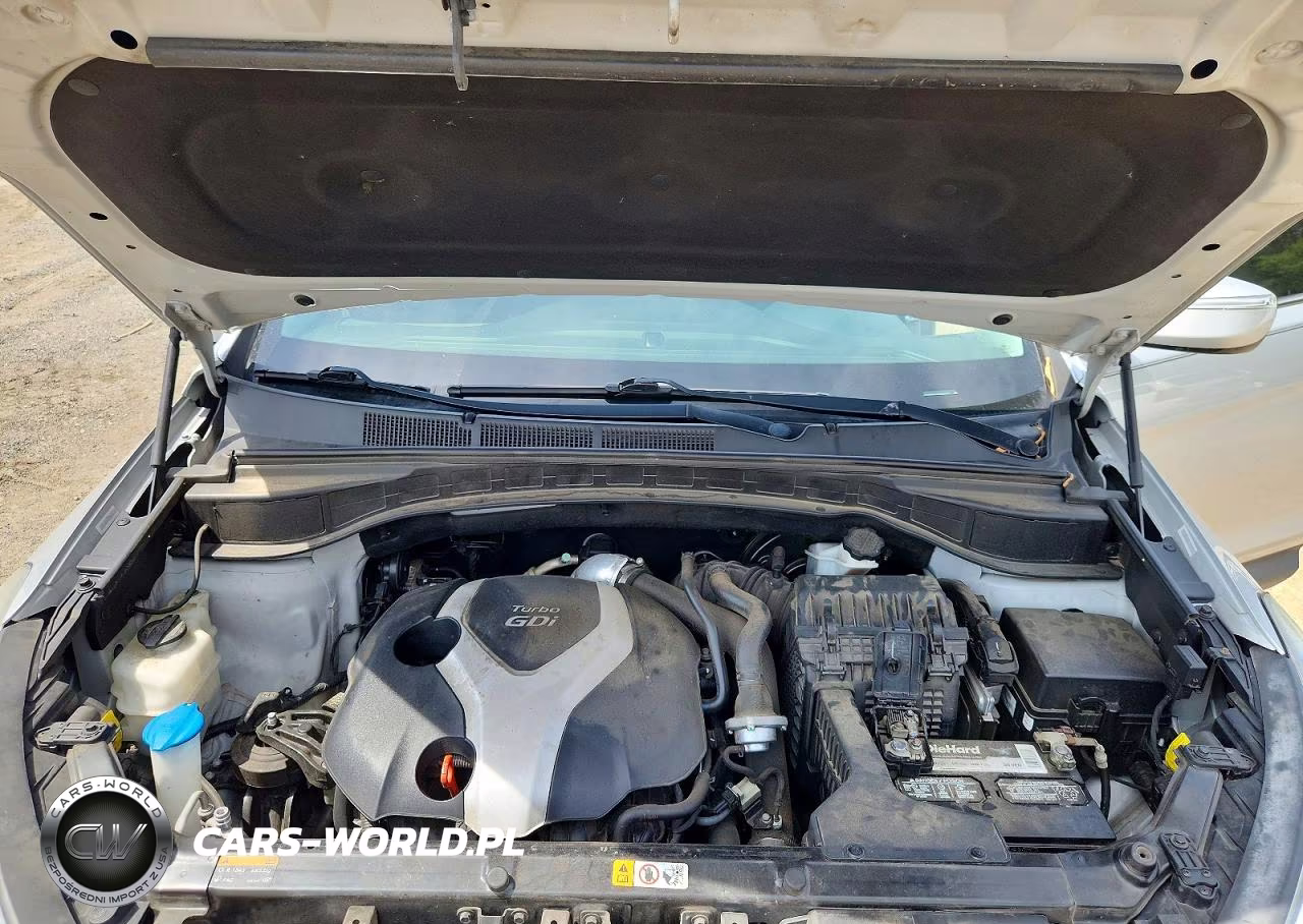 2014 Hyundai Santa Fe Sport 2.0T VIN:5XYZW3LA2EG223248 - 12