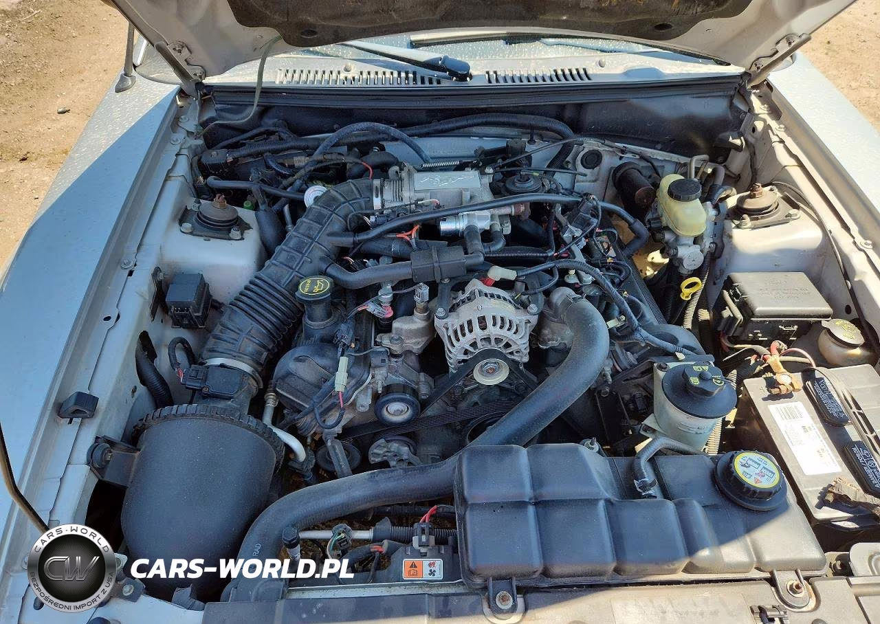 2004 Ford Mustang Gt VIN:1FAFP45X84F184907 - 11
