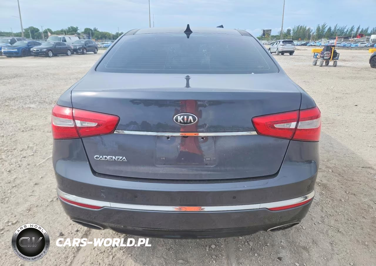 2015 Kia Cadenza Premium VIN:KNALN4D74F5172117 - 6