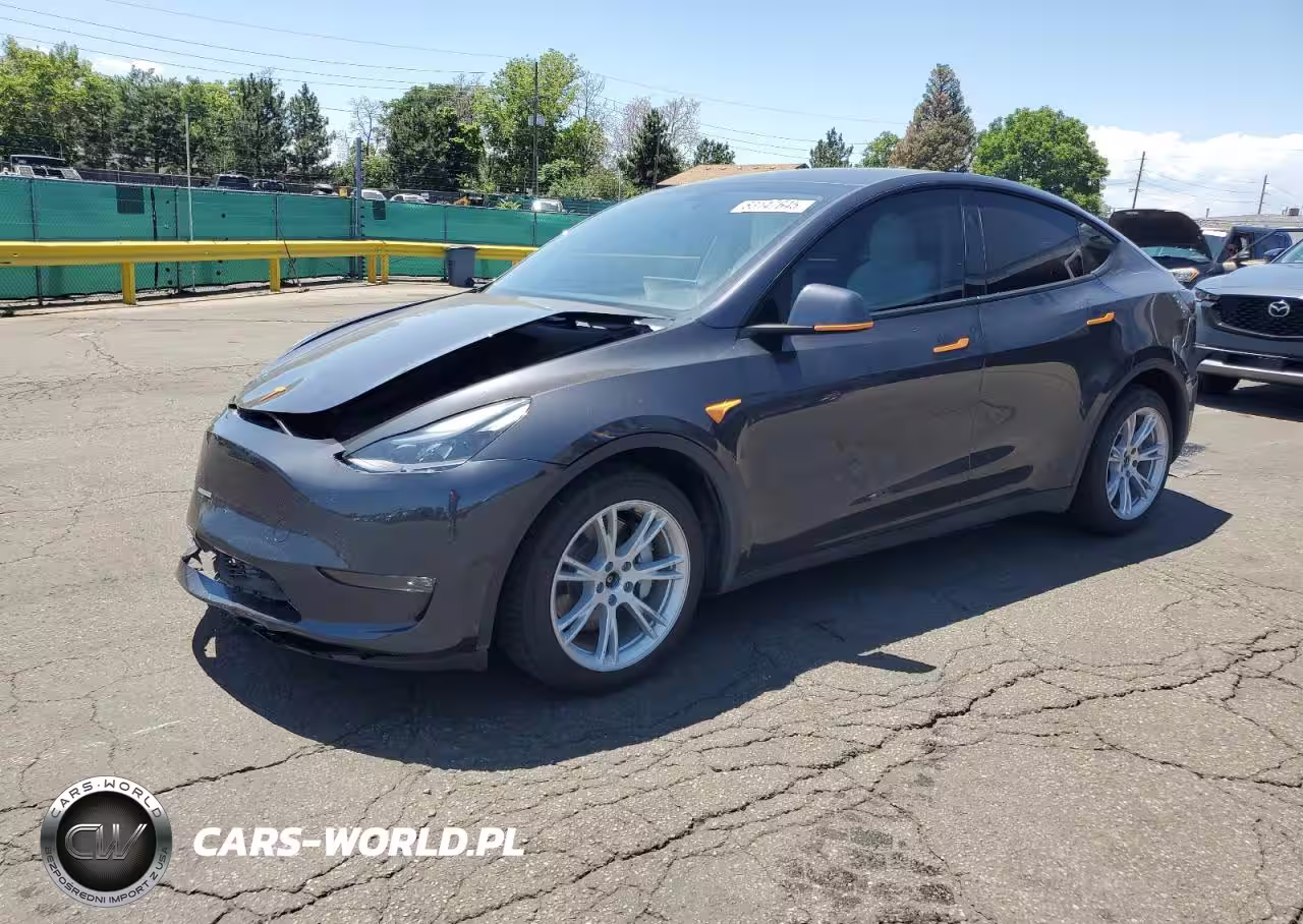 2024 Tesla Model Y