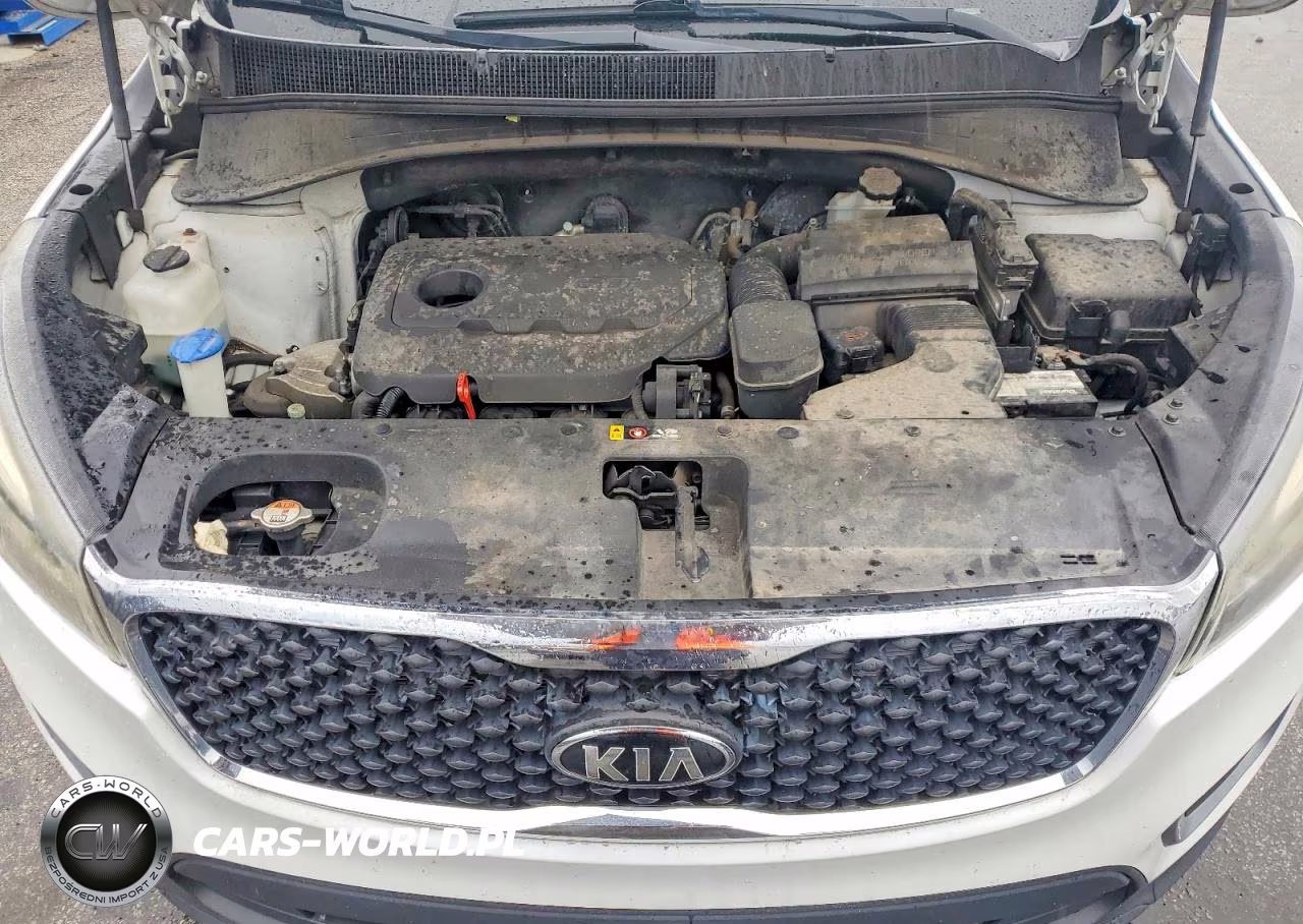 2017 Kia Sorento Lx VIN:5XYPG4A33HG239154 - 12