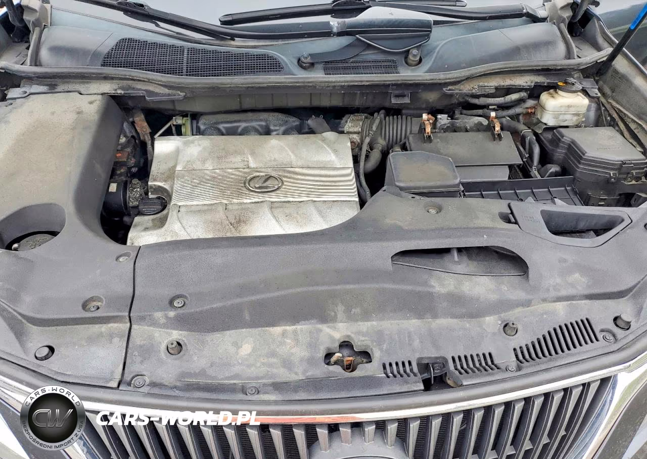 2010 Lexus Rx 350 VIN:2T2BK1BA7AC012020 - 12