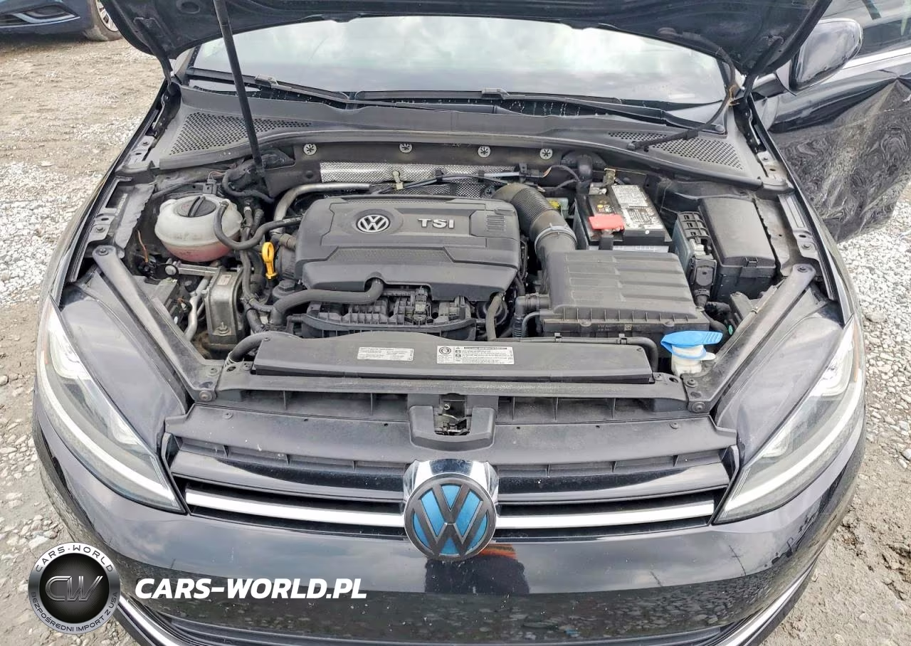 2016 Volkswagen Golf Sportwagen S VIN:3VWC17AU3GM516748 - 12