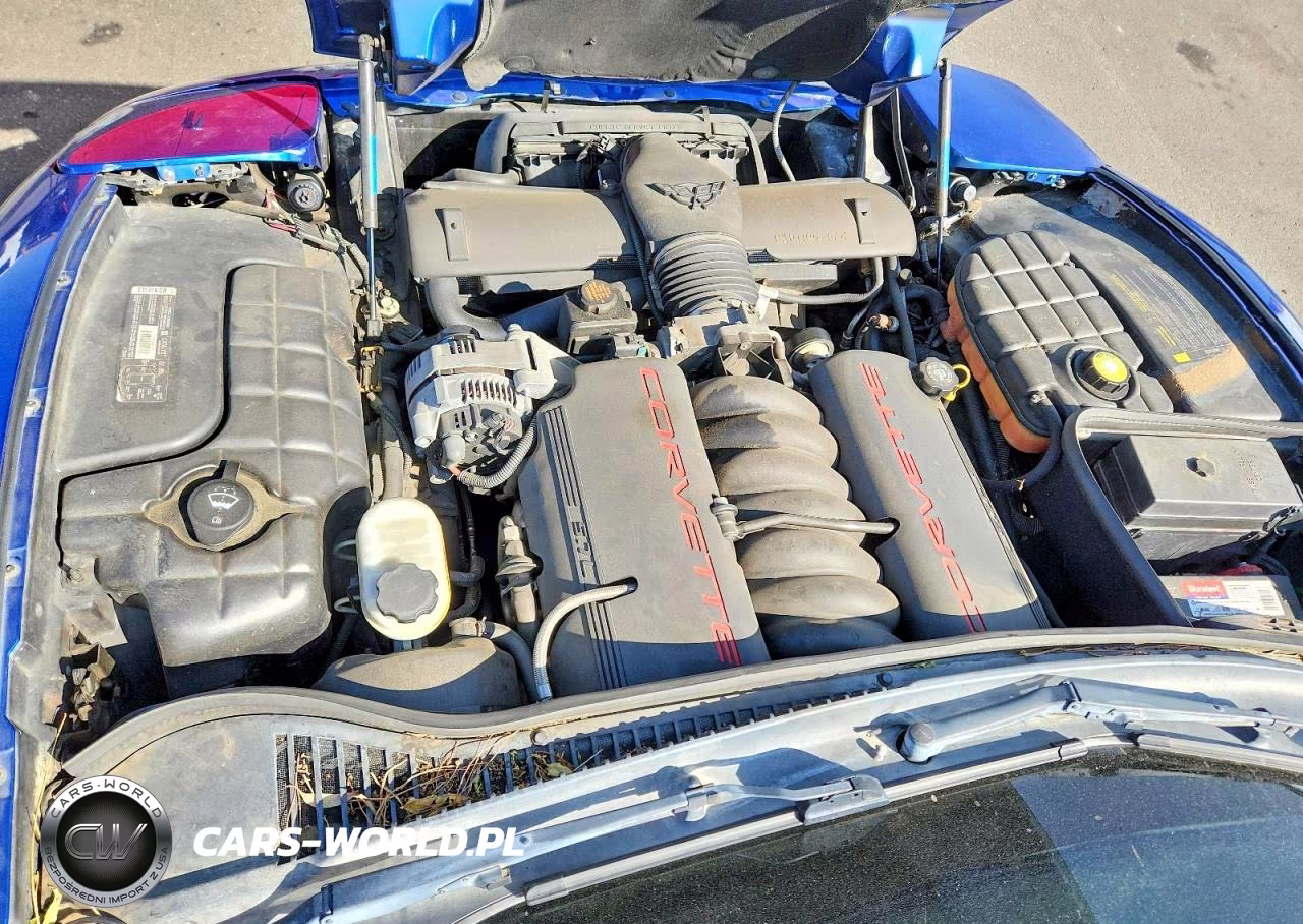 2002 Chevrolet Corvette VIN:1G1YY32G825109361 - 11