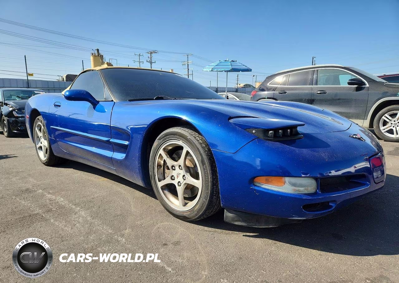2002 Chevrolet Corvette VIN:1G1YY32G825109361 - 4