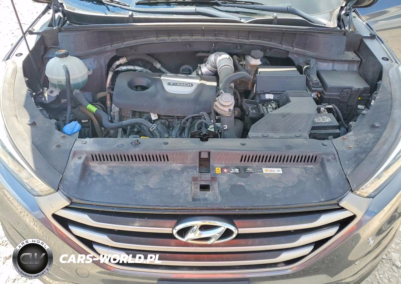 2018 Hyundai Tucson Value VIN:KM8J3CA23JU804781 - 12
