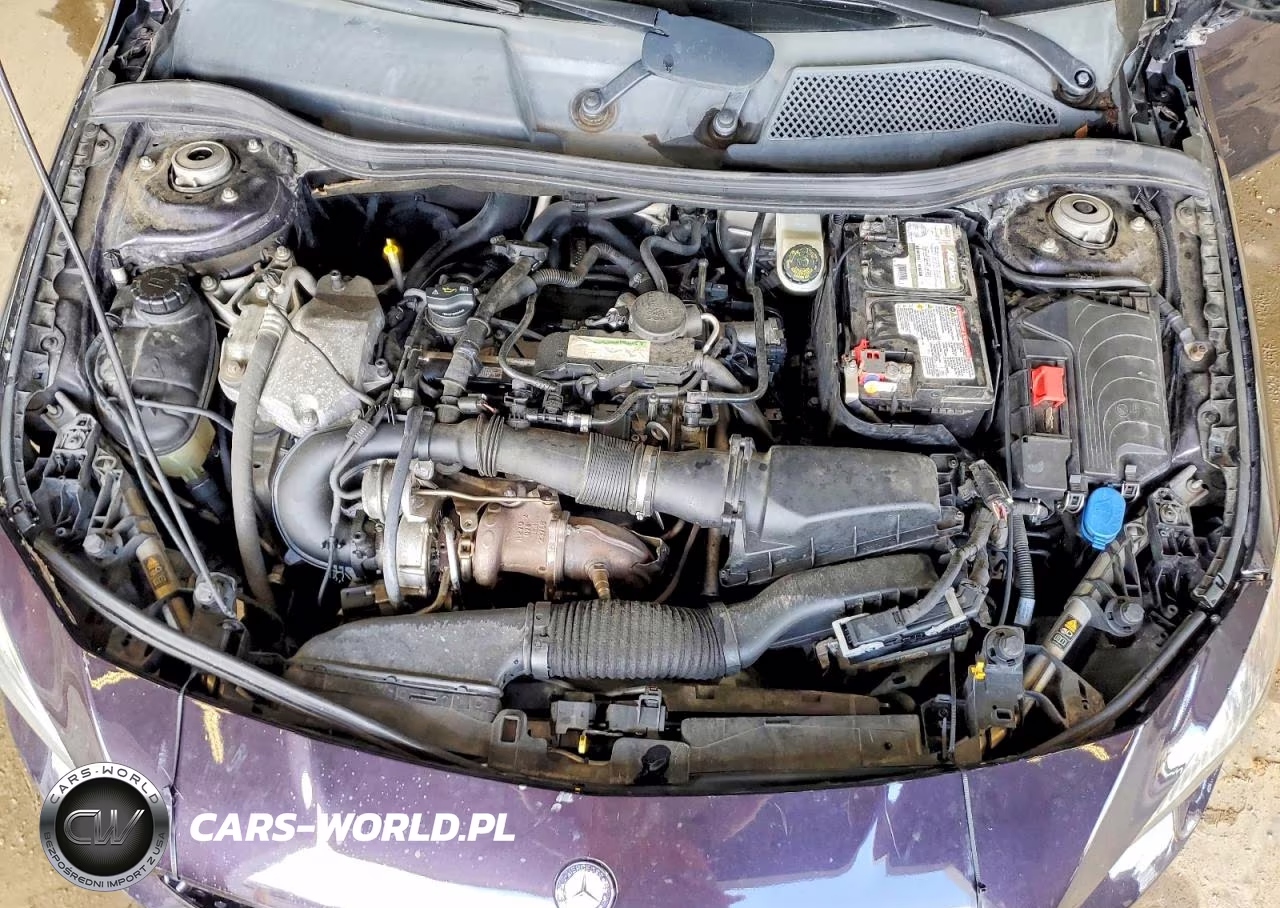 2015 Mercedes-Benz Cla 250 VIN:WDDSJ4EB8FN194186 - 11