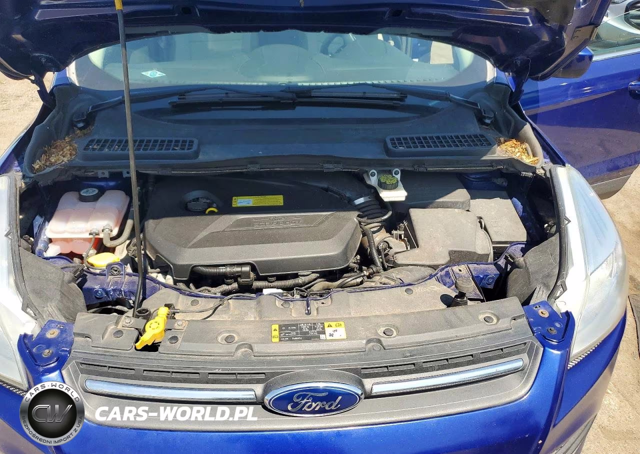 2014 Ford Escape Se VIN:1FMCU9GX0EUD00240 - 12