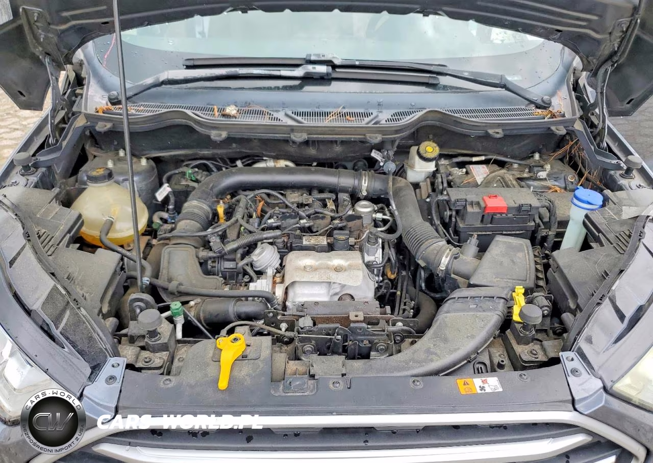 2020 Ford Ecosport Se VIN:MAJ3S2GE4LC322234 - 11