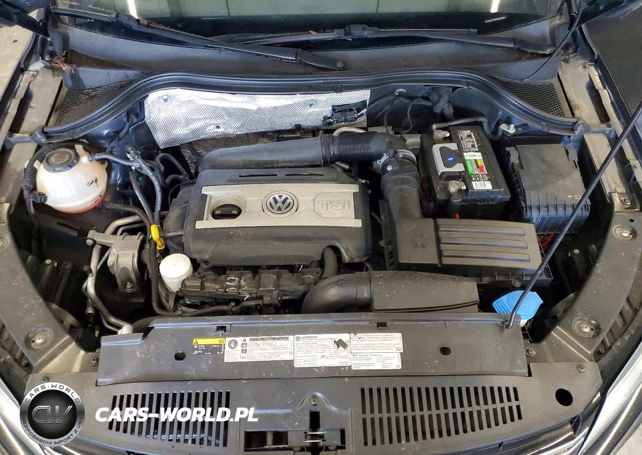 2017 Volkswagen Tiguan S VIN:WVGBV7AX0HK049614 - 12