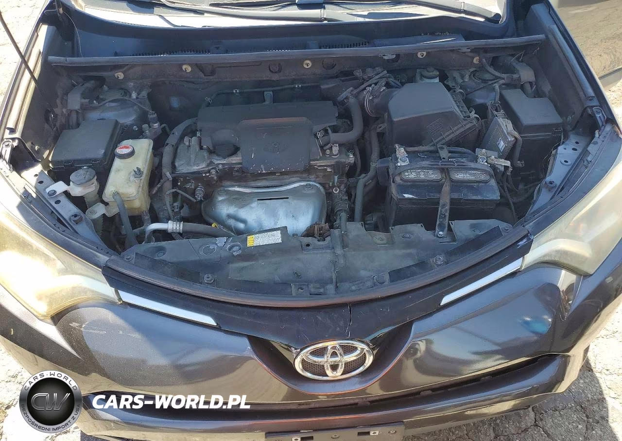 2016 Toyota Rav4 Xle VIN:JTMWFREV7GJ075543 - 12