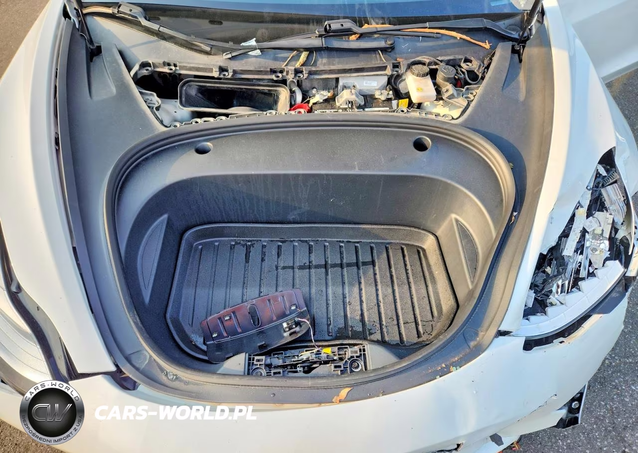 2020 Tesla Model 3 VIN:5YJ3E1EA2LF785231 - 11