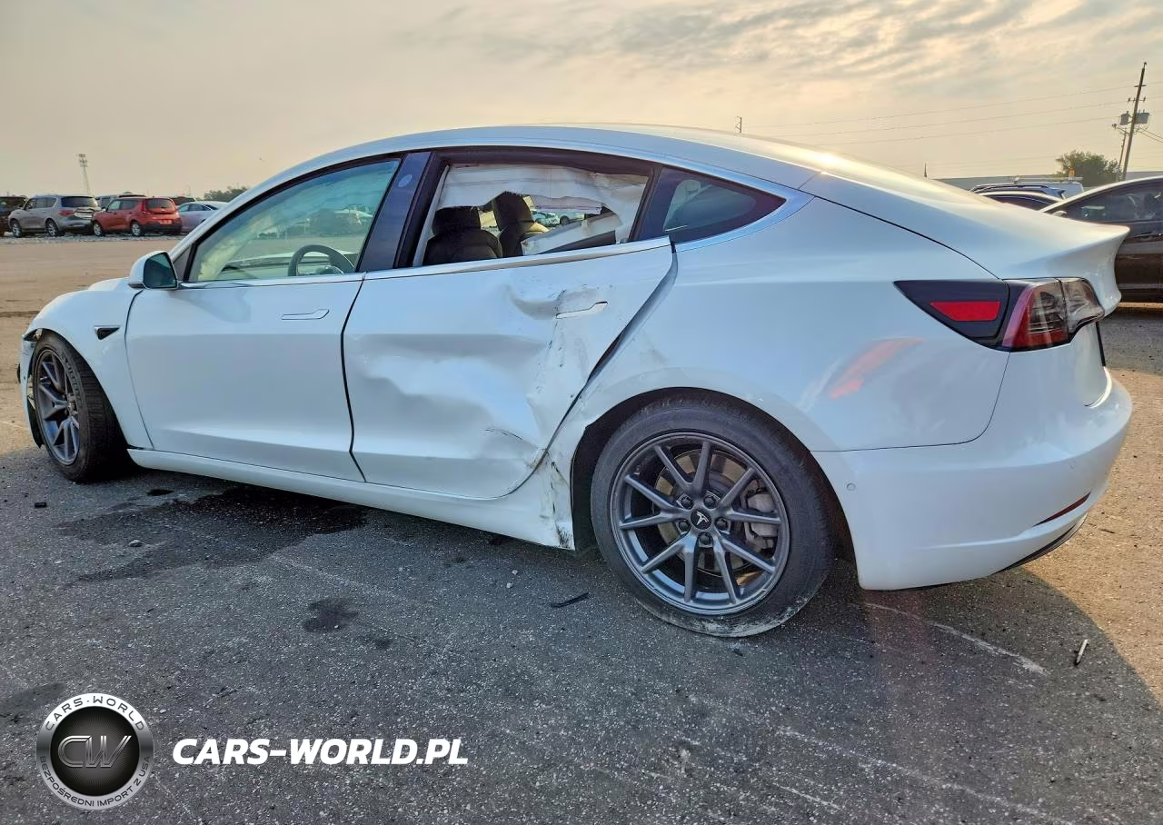 2020 Tesla Model 3 VIN:5YJ3E1EA2LF785231 - 2
