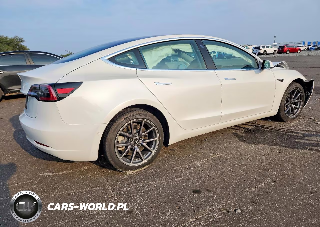 2020 Tesla Model 3 VIN:5YJ3E1EA2LF785231 - 3