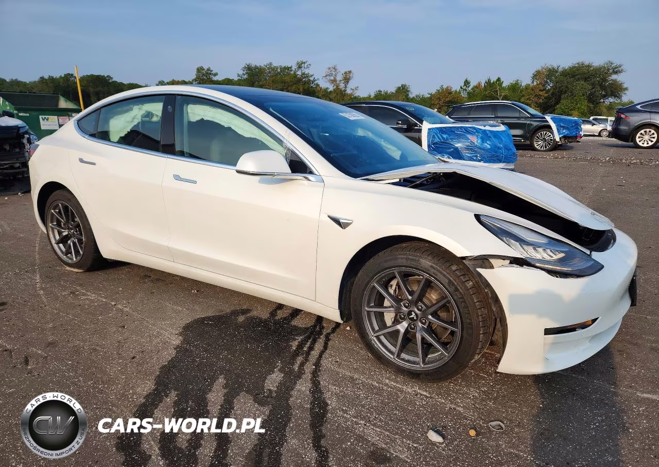 2020 Tesla Model 3 VIN:5YJ3E1EA2LF785231 - 4