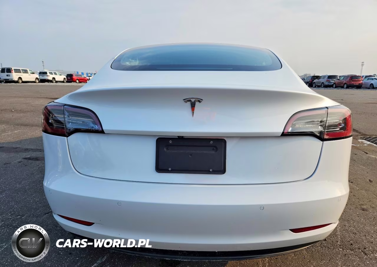 2020 Tesla Model 3 VIN:5YJ3E1EA2LF785231 - 6