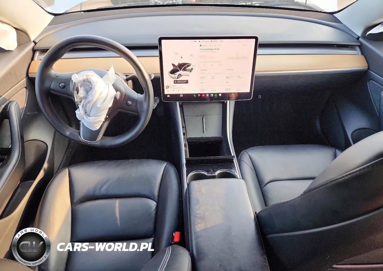 2020 Tesla Model 3 VIN:5YJ3E1EA2LF785231 - 8