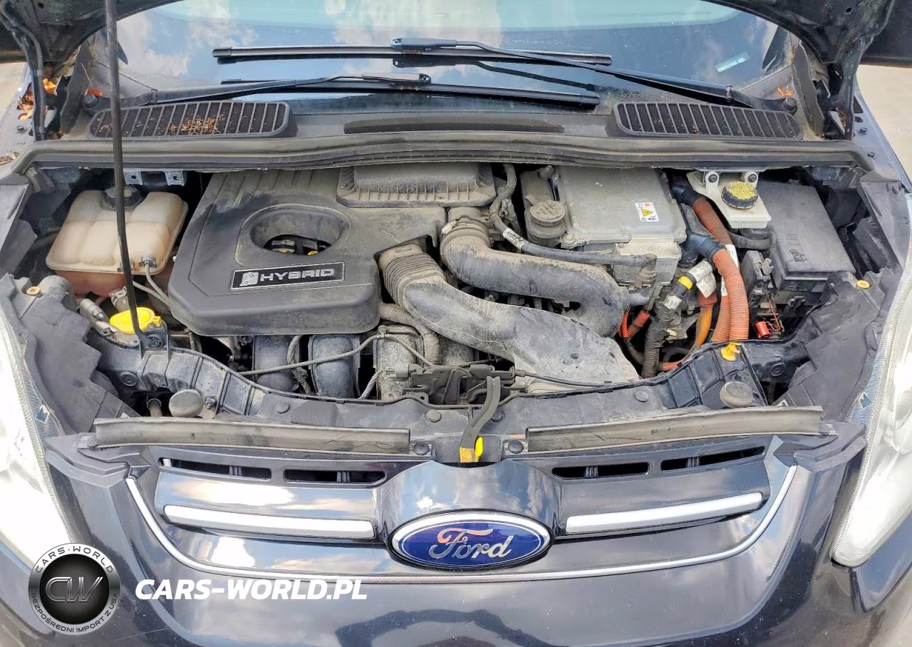 2015 Ford C-Max Sel VIN:1FADP5BU7FL113256 - 12