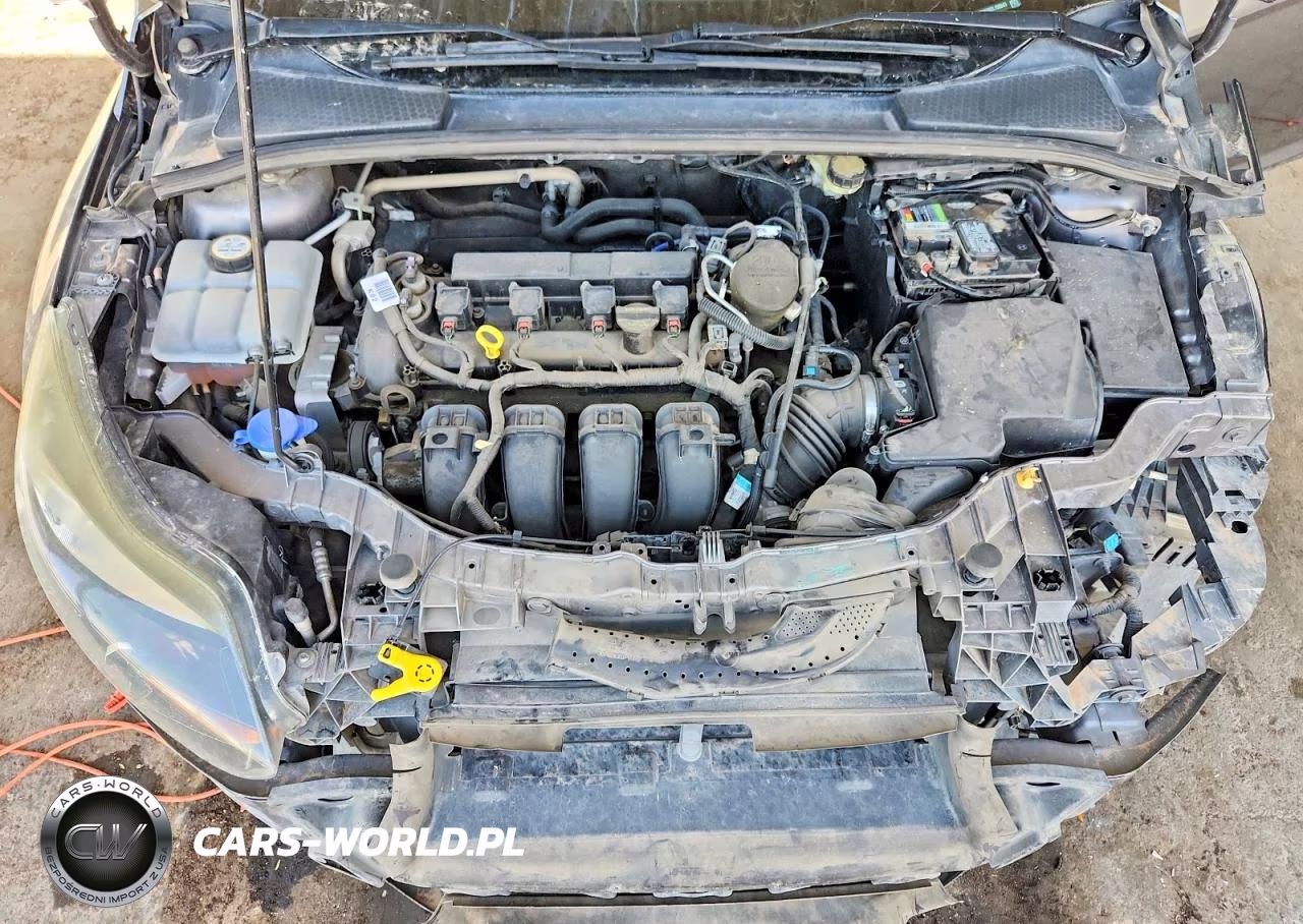 2014 Ford Focus Titanium VIN:1FADP3N20EL156043 - 11