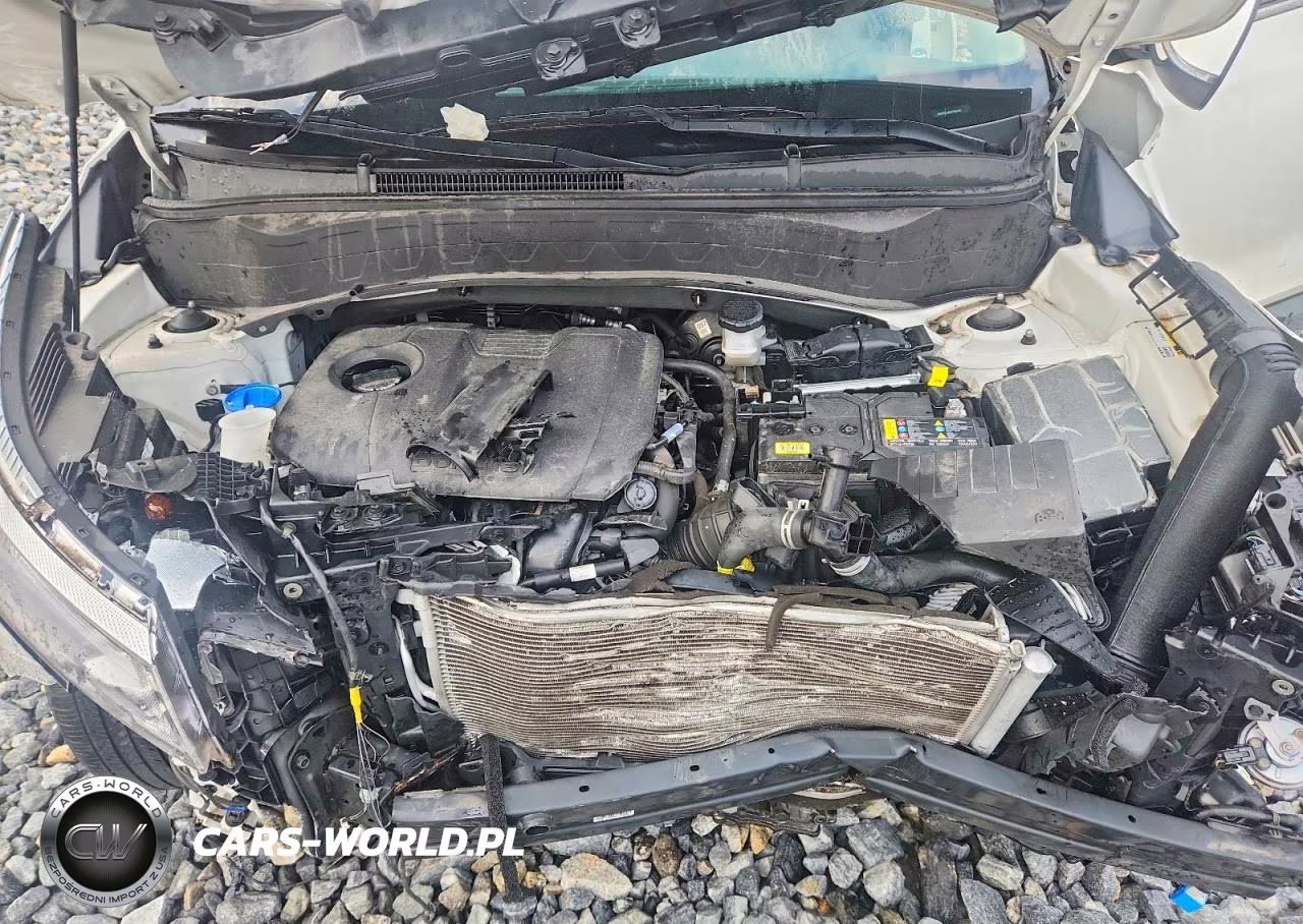 2024 Kia Seltos Ex VIN:KNDER2AA0R7506480 - 11