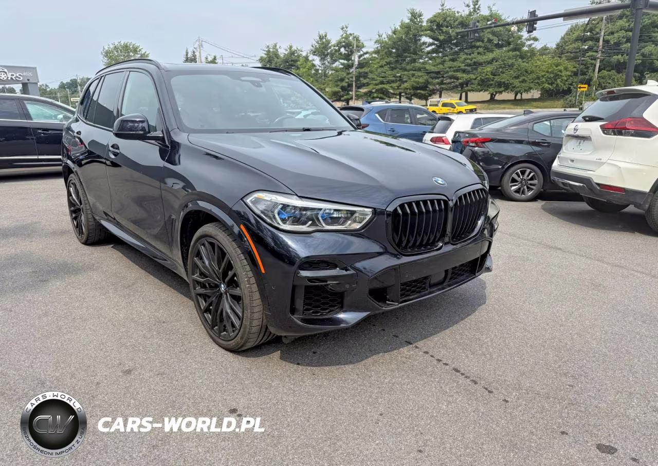 2023 BMW X5 xDrive40I VIN:5UXCR6C01P9P73033 - 2