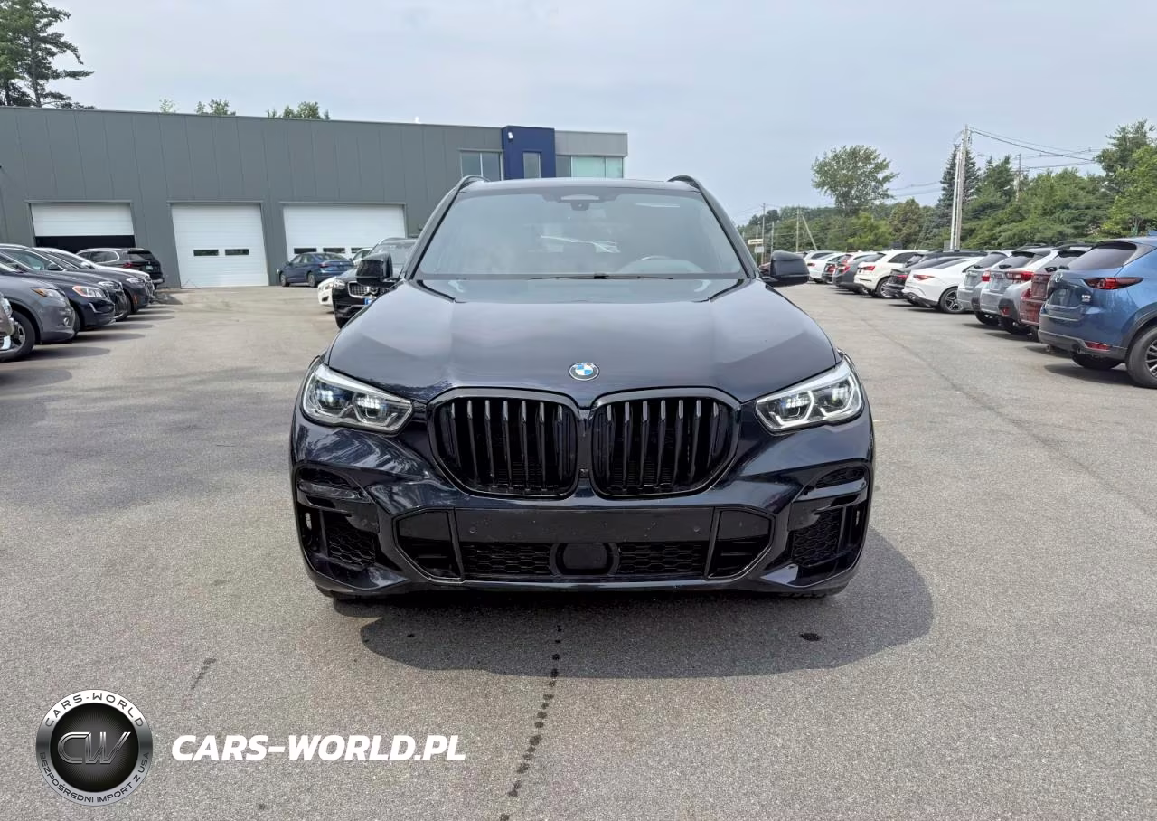 2023 BMW X5 xDrive40I VIN:5UXCR6C01P9P73033 - 3