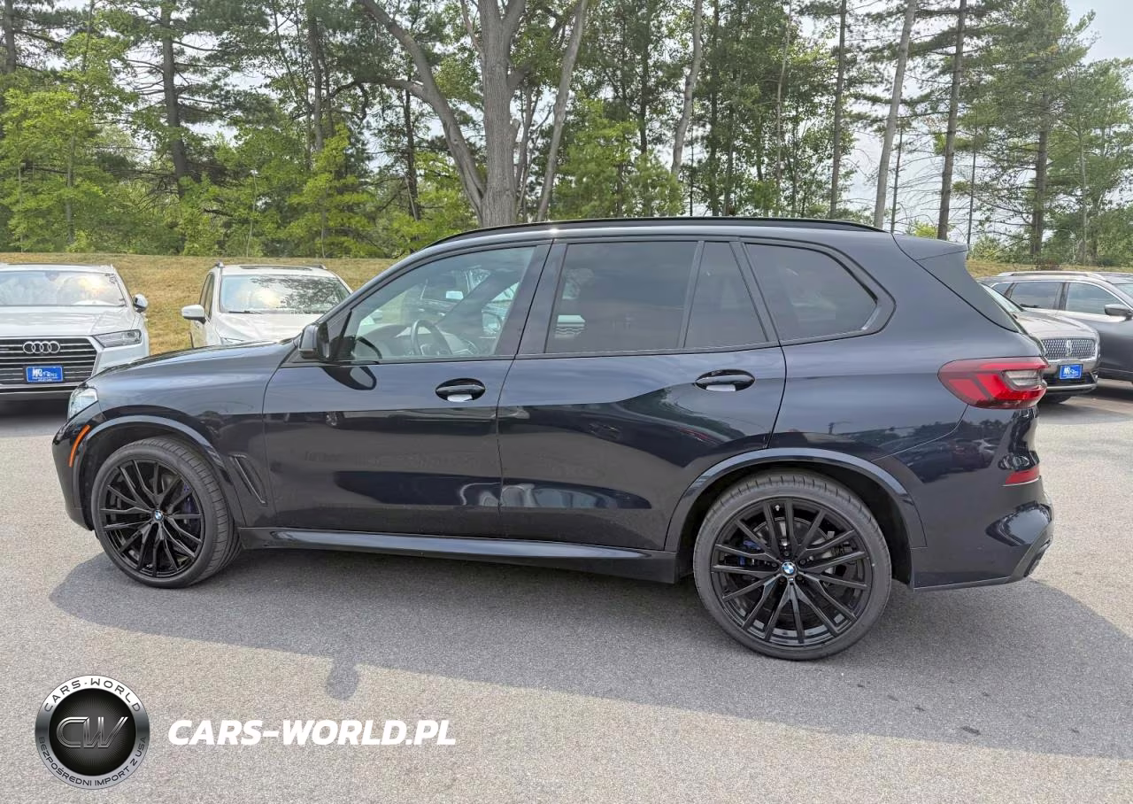 2023 BMW X5 xDrive40I VIN:5UXCR6C01P9P73033 - 5