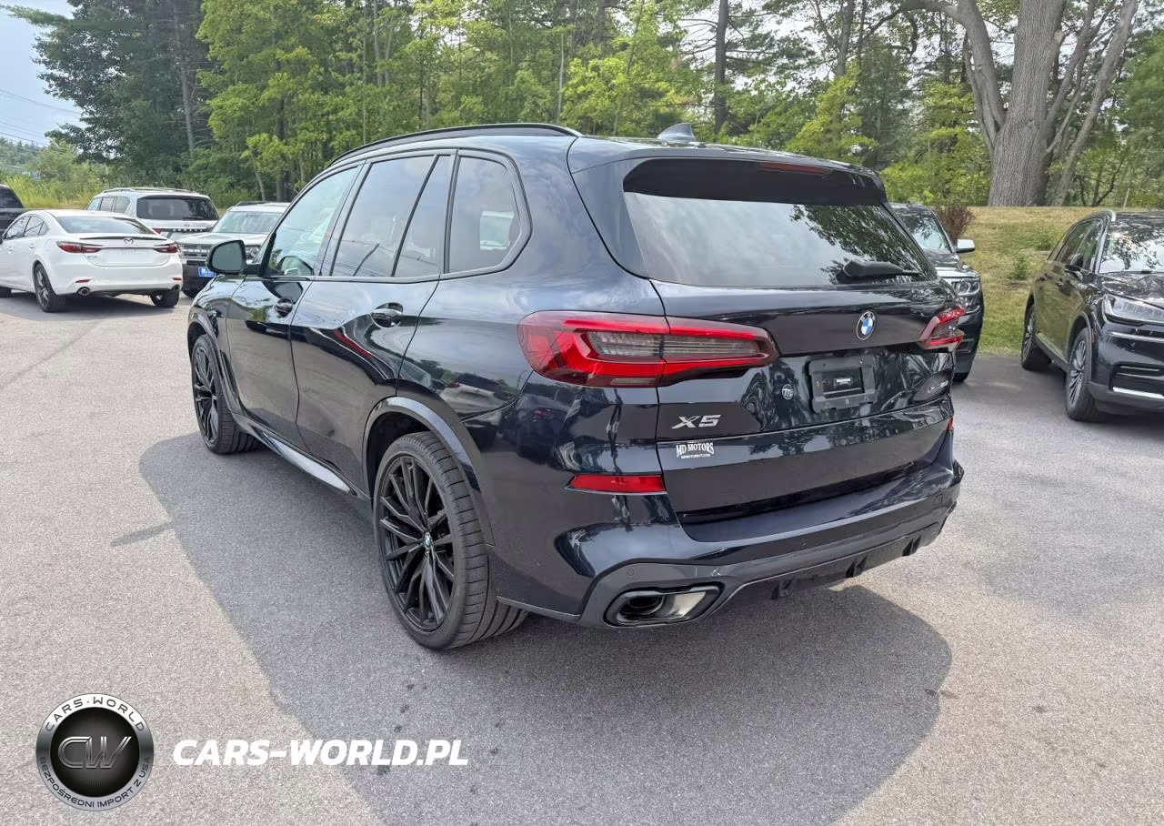 2023 BMW X5 xDrive40I VIN:5UXCR6C01P9P73033 - 6