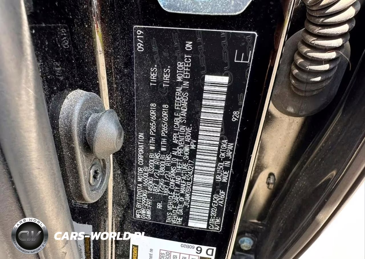 2020 Lexus Gx 460 Premium VIN:JTJAM7BXXL5243217 - 10