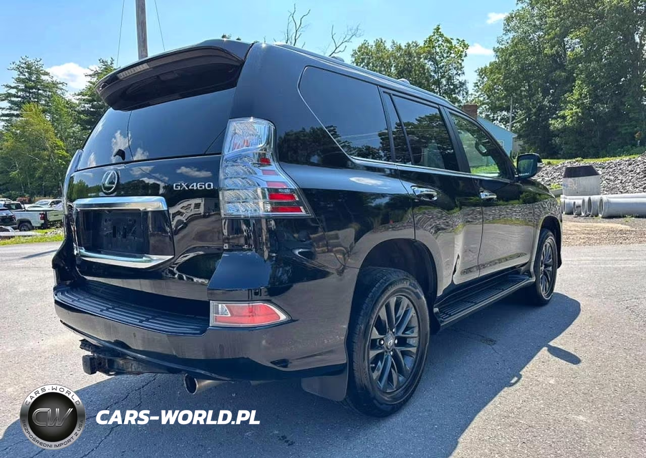 2020 Lexus Gx 460 Premium VIN:JTJAM7BXXL5243217 - 3