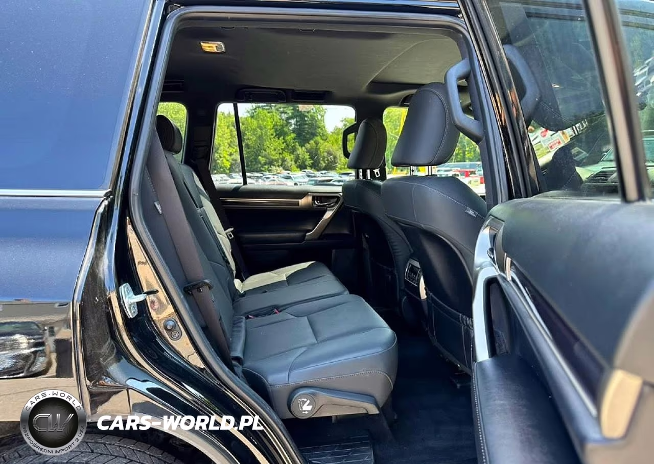 2020 Lexus Gx 460 Premium VIN:JTJAM7BXXL5243217 - 6