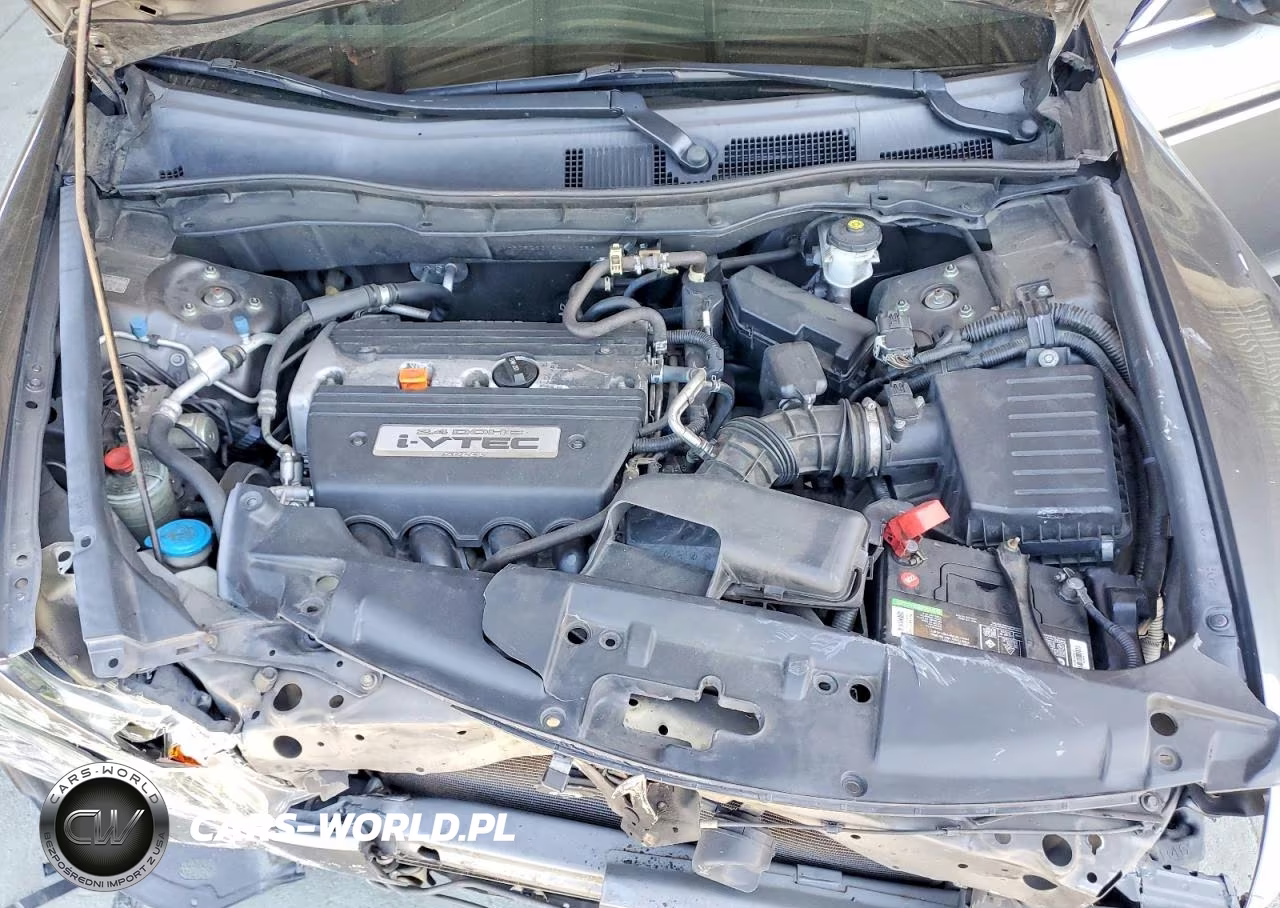2009 Honda Accord Lx VIN:1HGCP26319A111686 - 11