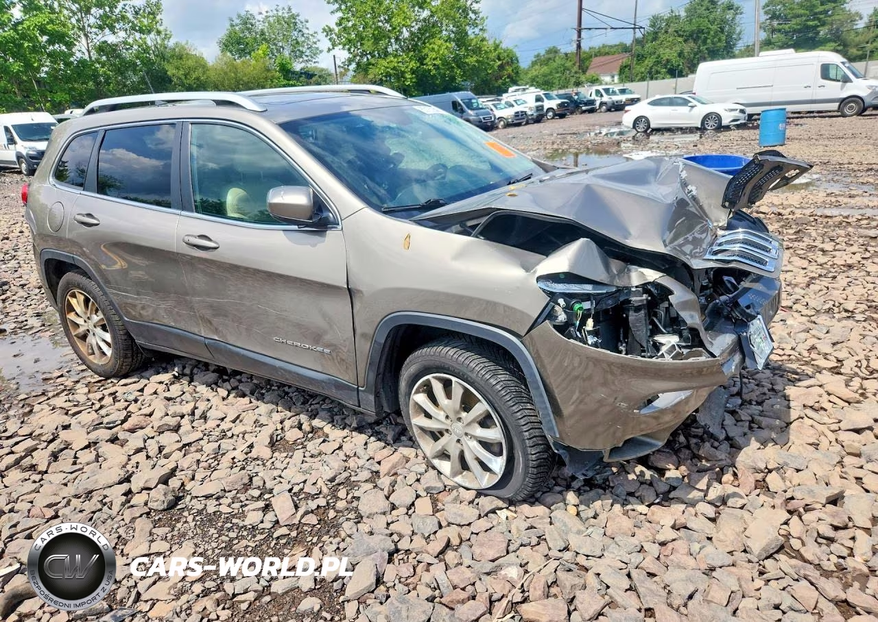 2017 Jeep Cherokee Limited VIN:1C4PJMDB4HW664941 - 4