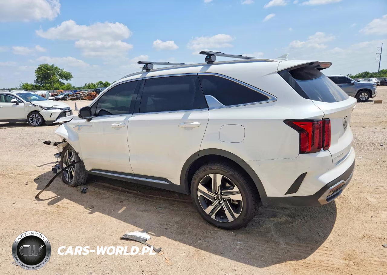 2023 Kia Sorento Ex VIN:KNDRHDLG7P5194667 - 2