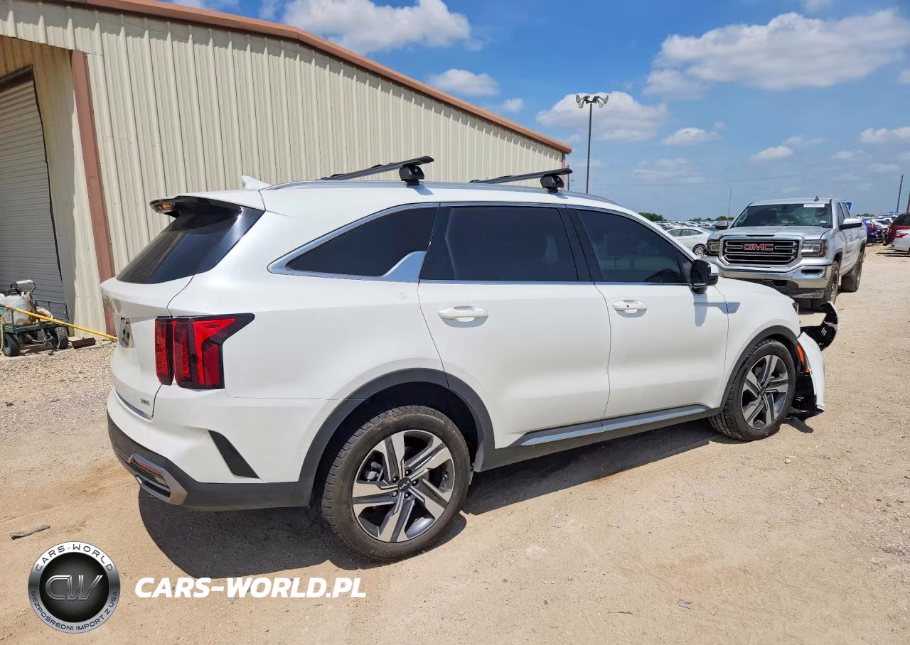 2023 Kia Sorento Ex VIN:KNDRHDLG7P5194667 - 3