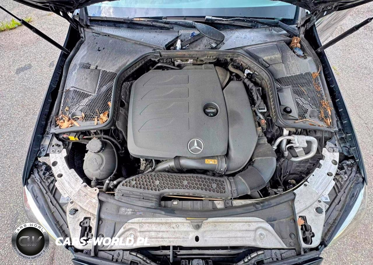 2019 Mercedes-Benz C 300 4Matic VIN:55SWF8EB1KU307858 - 7