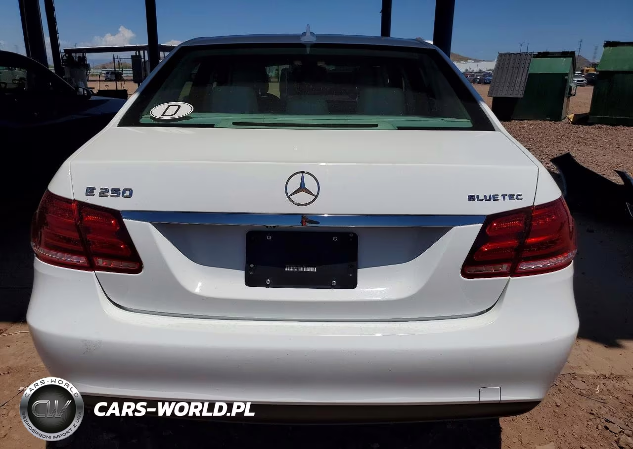 2016 Mercedes-Benz E 250 Bluetec VIN:WDDHF0EB6GB236412 - 6