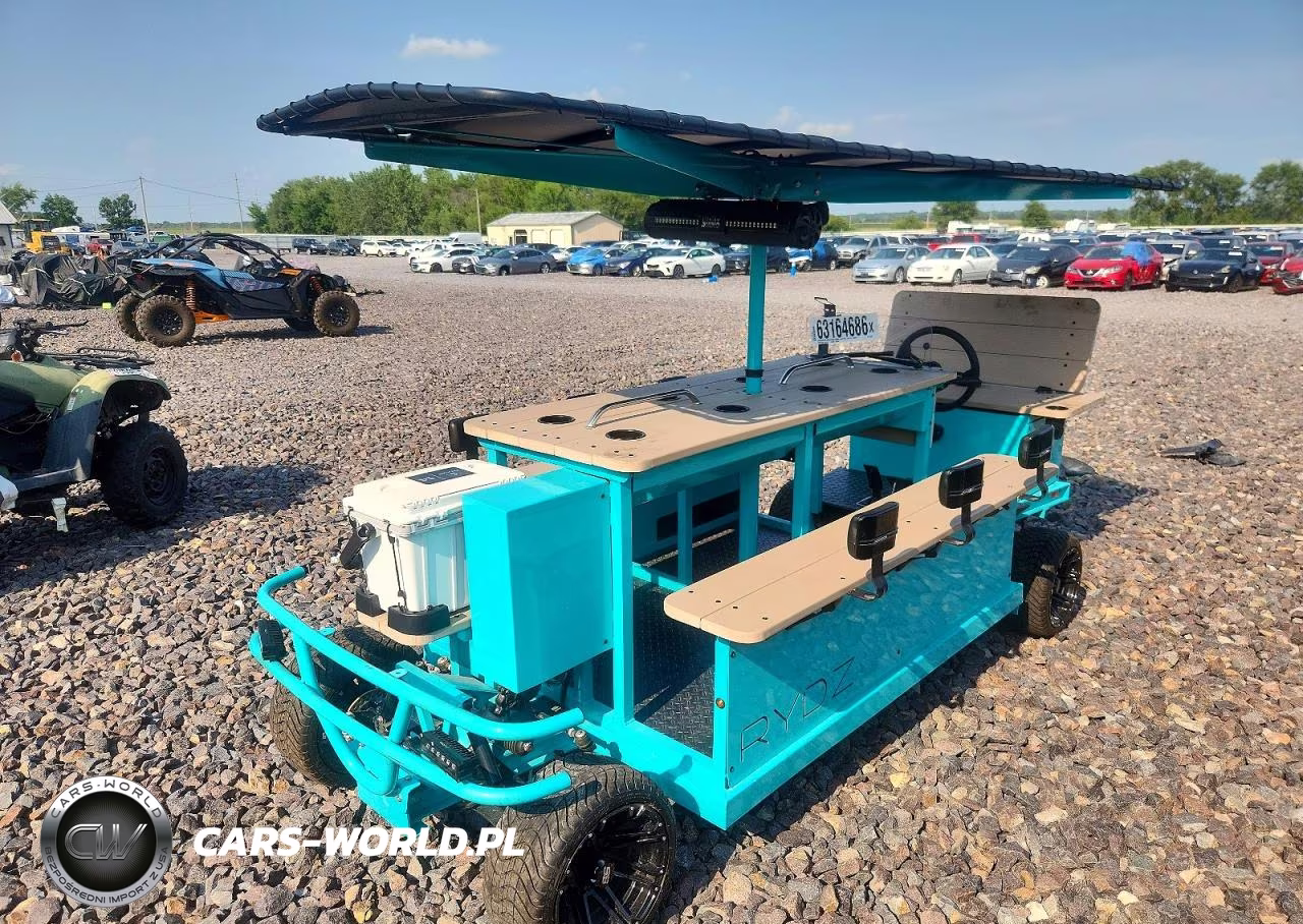 2025 Golf Cart Other VIN:4R9REA2Y9SL065006 - 2