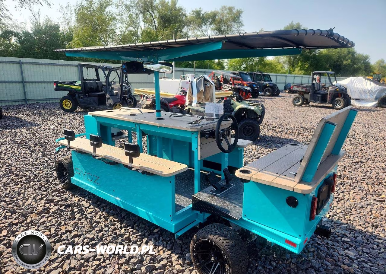 2025 Golf Cart Other VIN:4R9REA2Y9SL065006 - 3