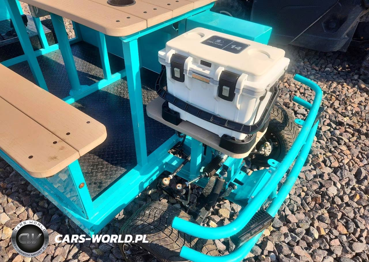 2025 Golf Cart Other VIN:4R9REA2Y9SL065006 - 9