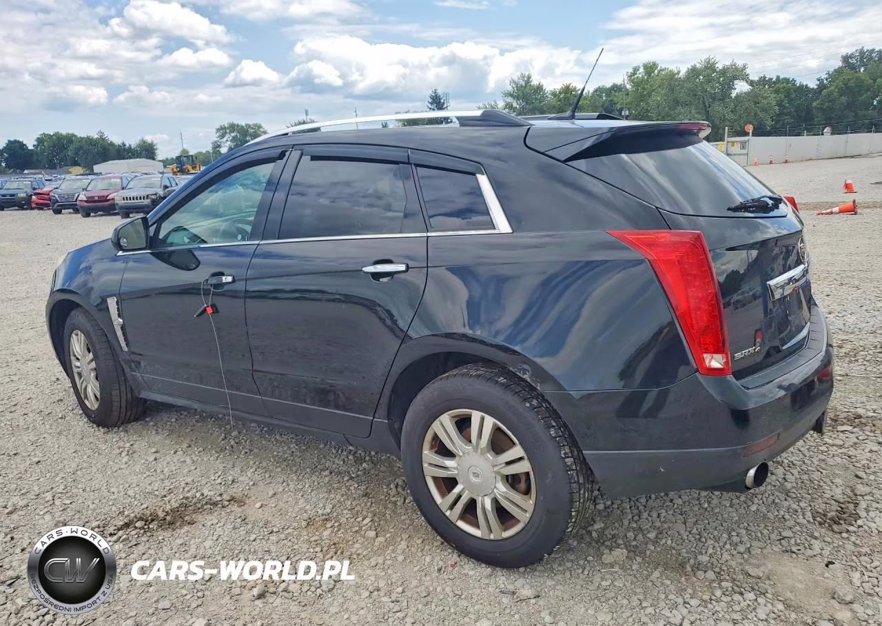 2011 Cadillac Srx Luxury Collection VIN:3GYFNDEY0BS543520 - 2