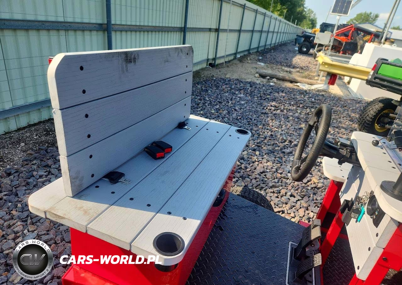 2025 Golf Cart Other VIN:4R9REA2Y0SL065007 - 6