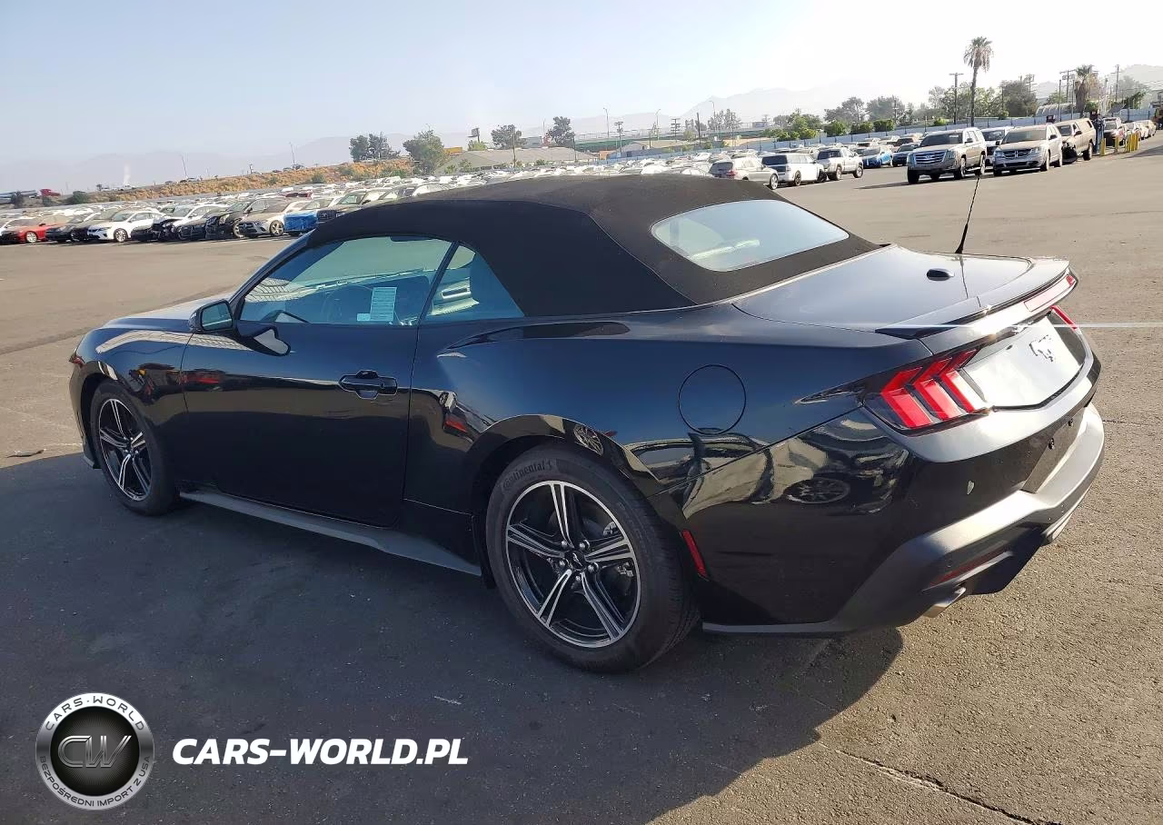 2025 Ford Mustang VIN:1FAGP8UH0S5117405 - 2
