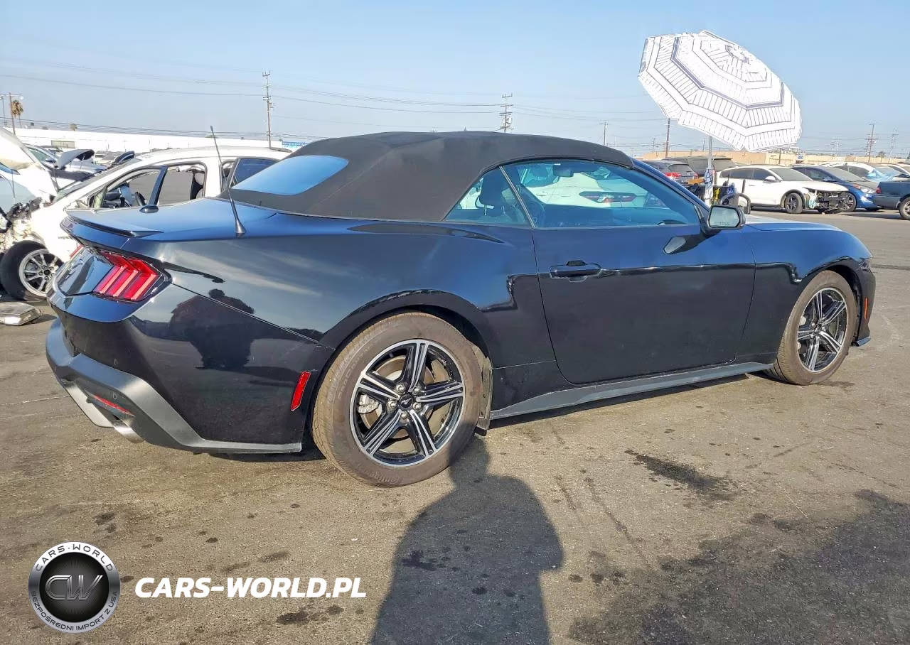 2025 Ford Mustang VIN:1FAGP8UH0S5117405 - 3