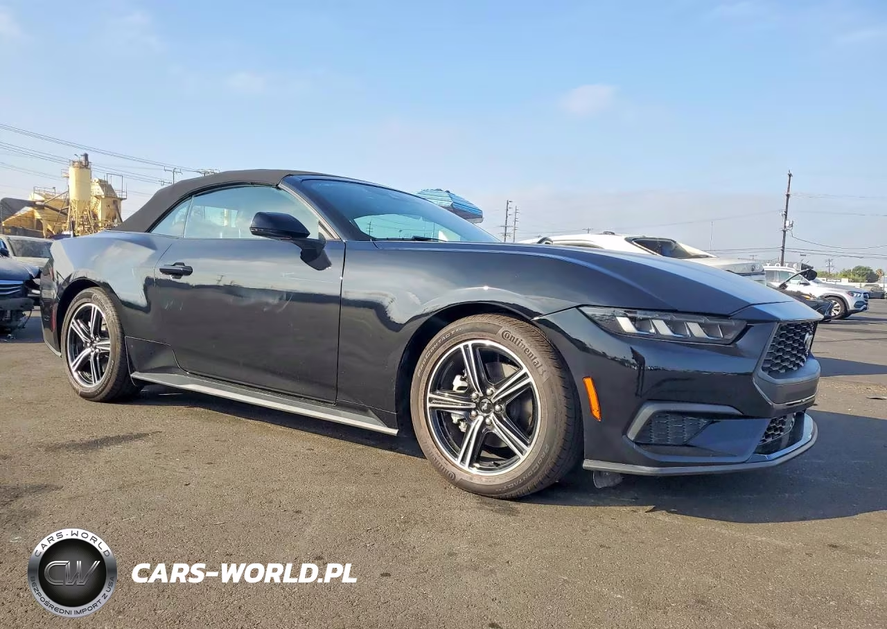 2025 Ford Mustang VIN:1FAGP8UH0S5117405 - 4