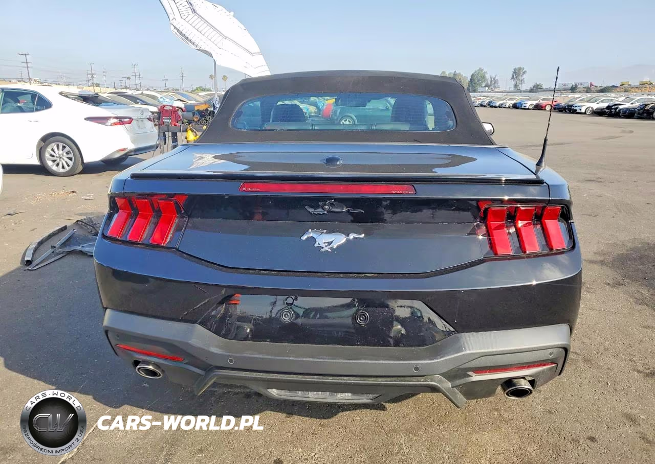 2025 Ford Mustang VIN:1FAGP8UH0S5117405 - 6